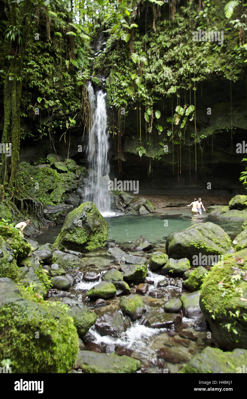 Dans les Caraïbes, la Dominique, Parc national du Morne Trois Pitons, Banque D'Images