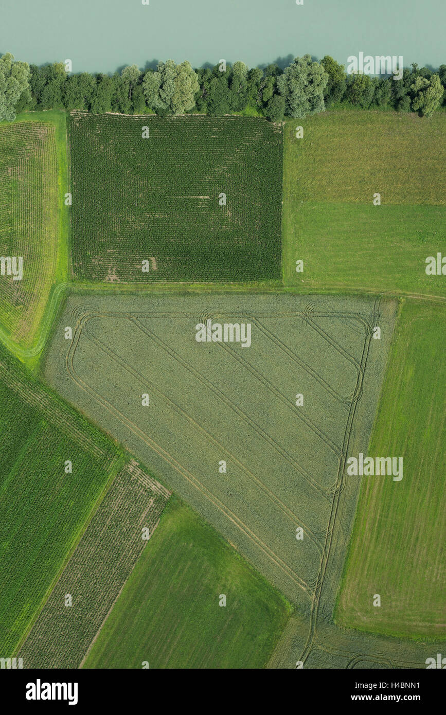 Nature, Paysage, vue aérienne, Drau, rivière, prairie, champs, rives, Summers, Greifenburg, Carinthie, Autriche Banque D'Images