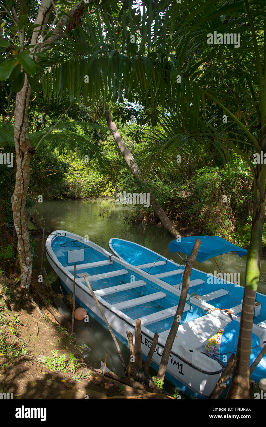 La République dominicaine, l'orient, Sabana de la Mar, Parc Haitises batch, filiale d'amorçage Cano Hondo Banque D'Images