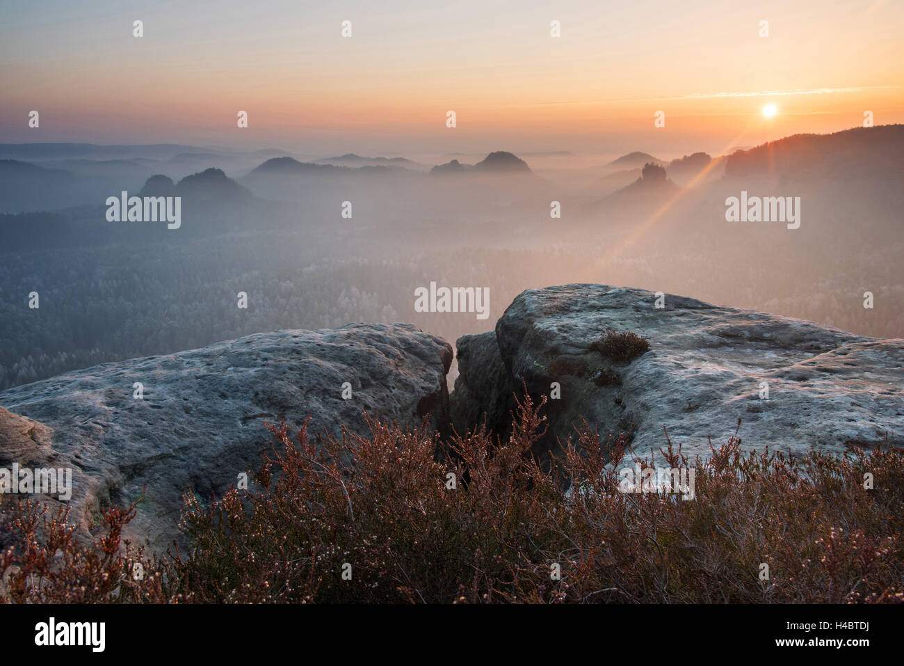 Le lever du soleil, Kleiner Winterberg, Zschand, brouillard, la Suisse Saxonne, de montagnes basses, Allemagne Banque D'Images