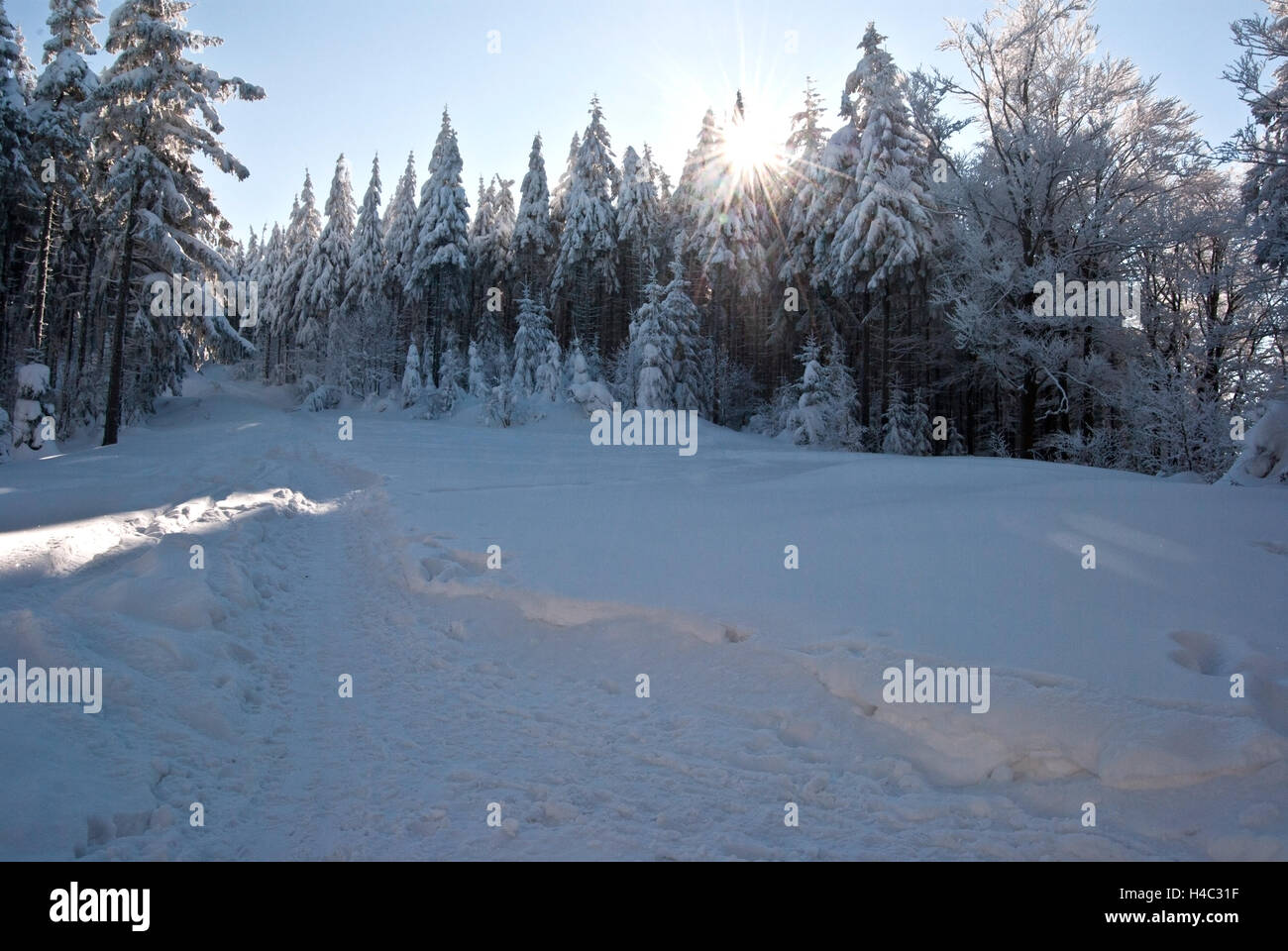 Belle journée d'hiver avec sentier de randonnée pédestre, des arbres couverts de neige et ciel clair ci-dessous lysa hora hill dans moravskoslezske beskydy Banque D'Images