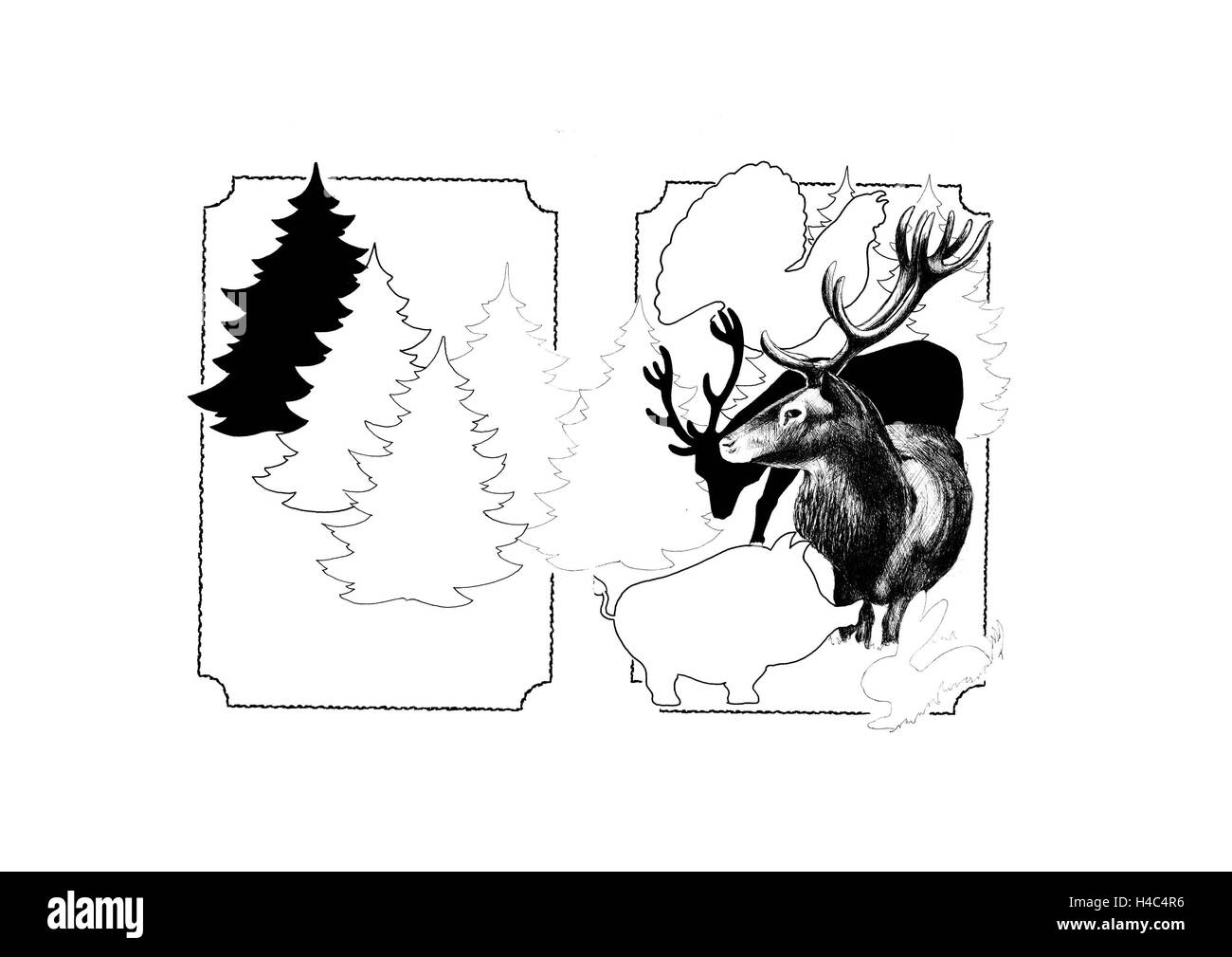 Carte de menu sauvage Banque D'Images