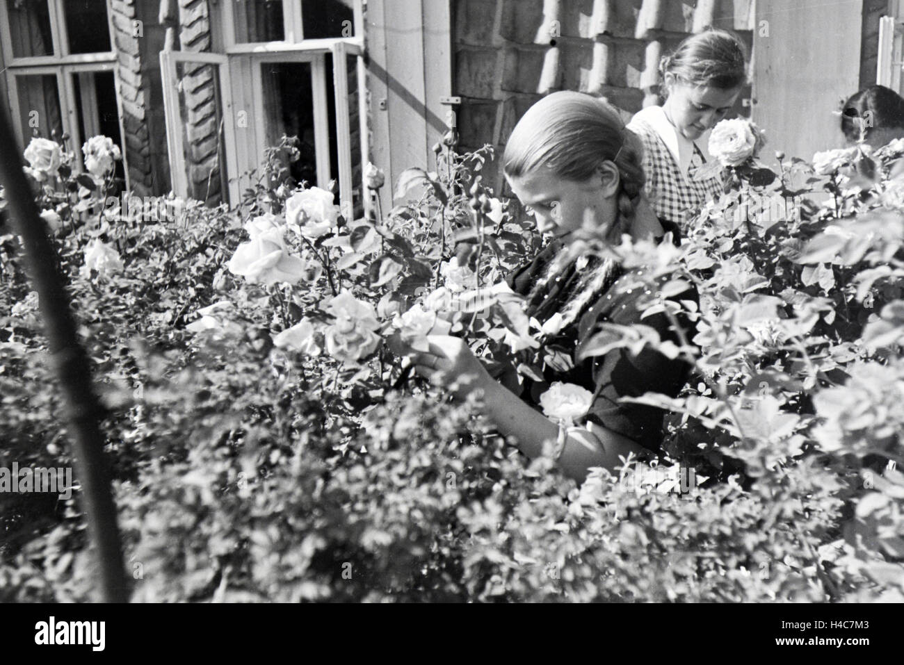 Schülerinnen des Schülerheims Kolonial Harzburg bei der Gartenarbeit, Deutsches Reich 1937. Les étudiants de l'école résidentielle coloniale Harzburg travaillant dans le jardin, Allemagne 1937. Banque D'Images