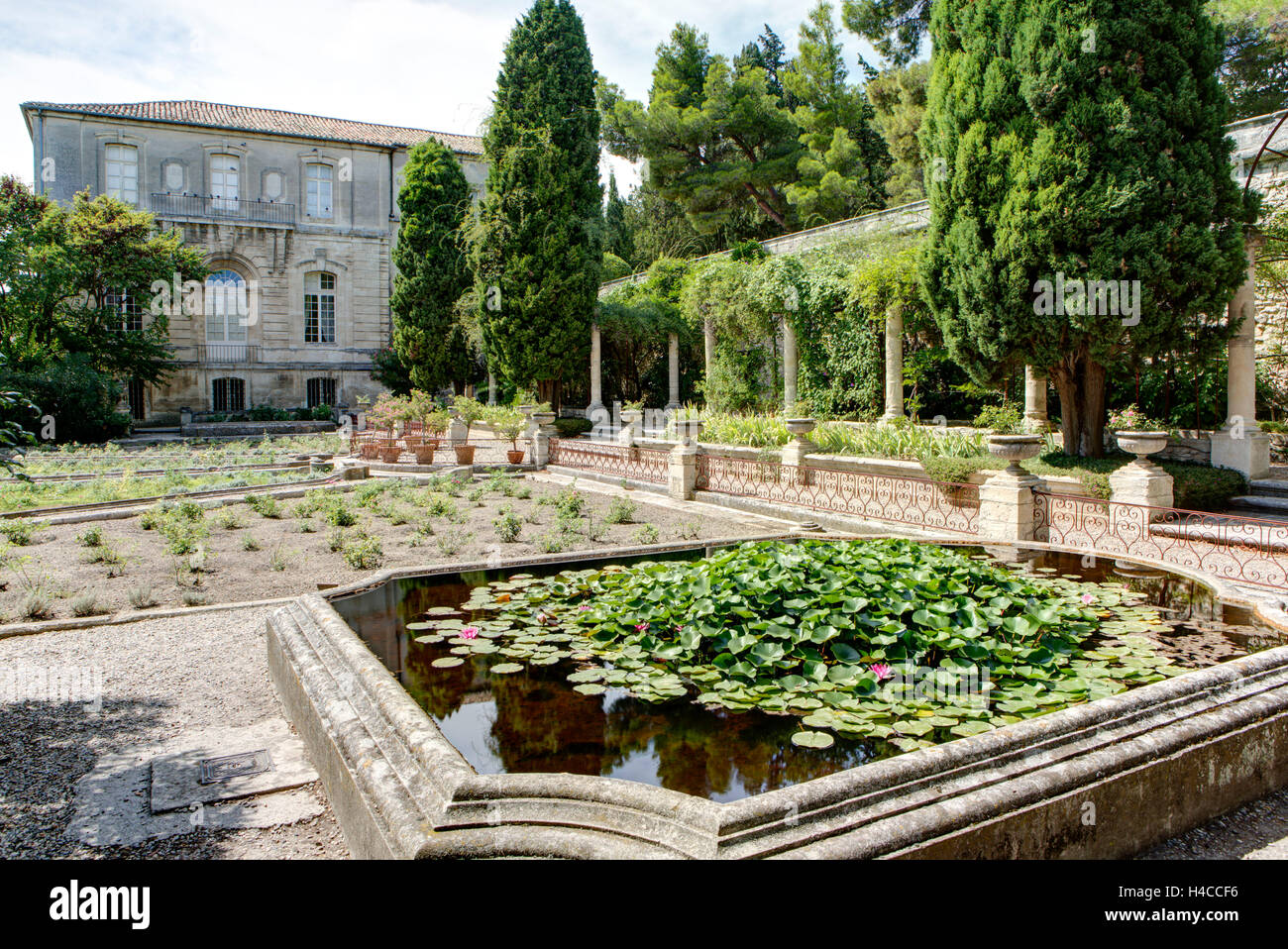Abbaye Saint André, cloître, jardin, Villeneuve lès Avignon, département du Gard, région Languedoc-Roussillon, France, Banque D'Images
