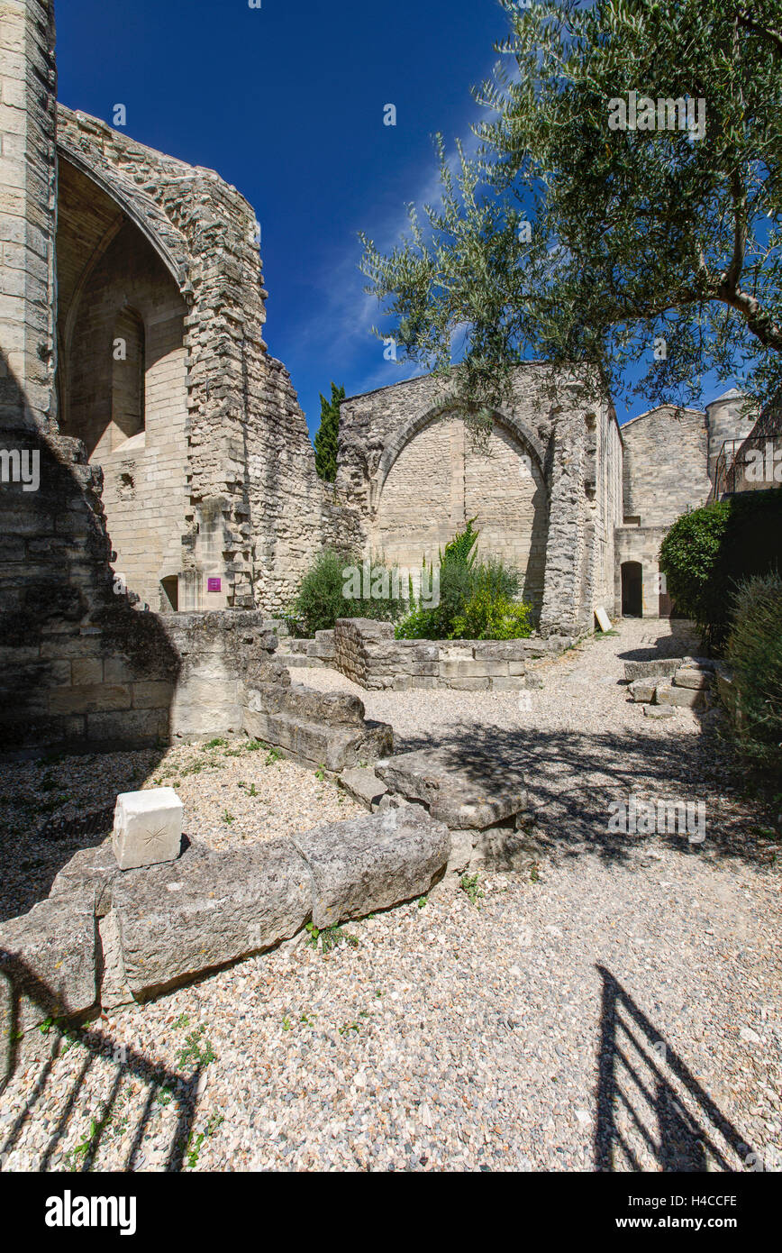 Kartause Val de bénédiction, cloître, jardin, Villeneuve lès Avignon, département du Gard, région Languedoc-Roussillon, France, Banque D'Images