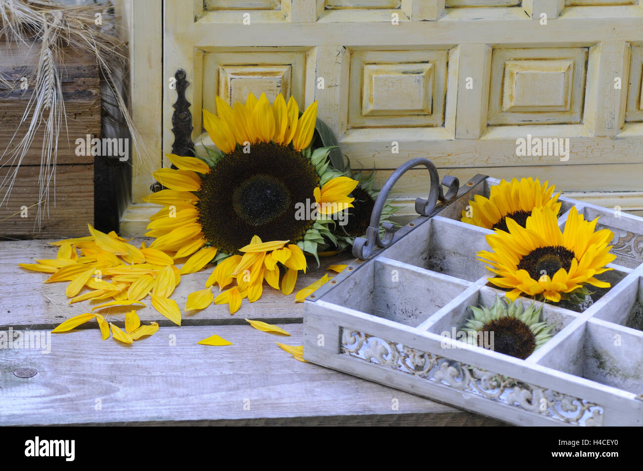 Avec le tournesol décoration Banque D'Images