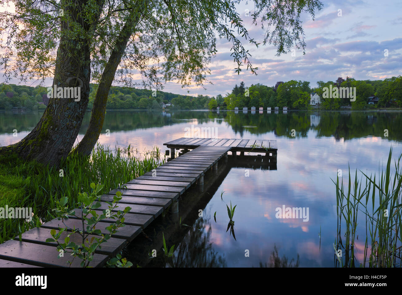 Allemagne, Bavière, Fünfseenland, région du lac Wesslinger, Munich, Haute-Bavière, pont, matin, l'humeur, idyllique, le printemps, la lumière, la mise en miroir, arbre, vert, reed, panorama, paysage, Banque D'Images Allemagne, Bavière, Fünfseenland, région du lac Wesslinger, Munich, Haute-Bavière, pont, matin, l'humeur, idyllique, le printemps, la lumière, la mise en miroir, arbre, vert, reed, panorama, paysage, Banque D'Images