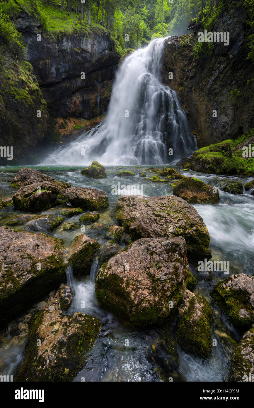 L'Autriche, les Alpes, cascade, Gollinger, eau, lumière, rayons, pierres, roches, Moss, conte, mystique, magique, fantastique, paysage, printemps, été, Banque D'Images