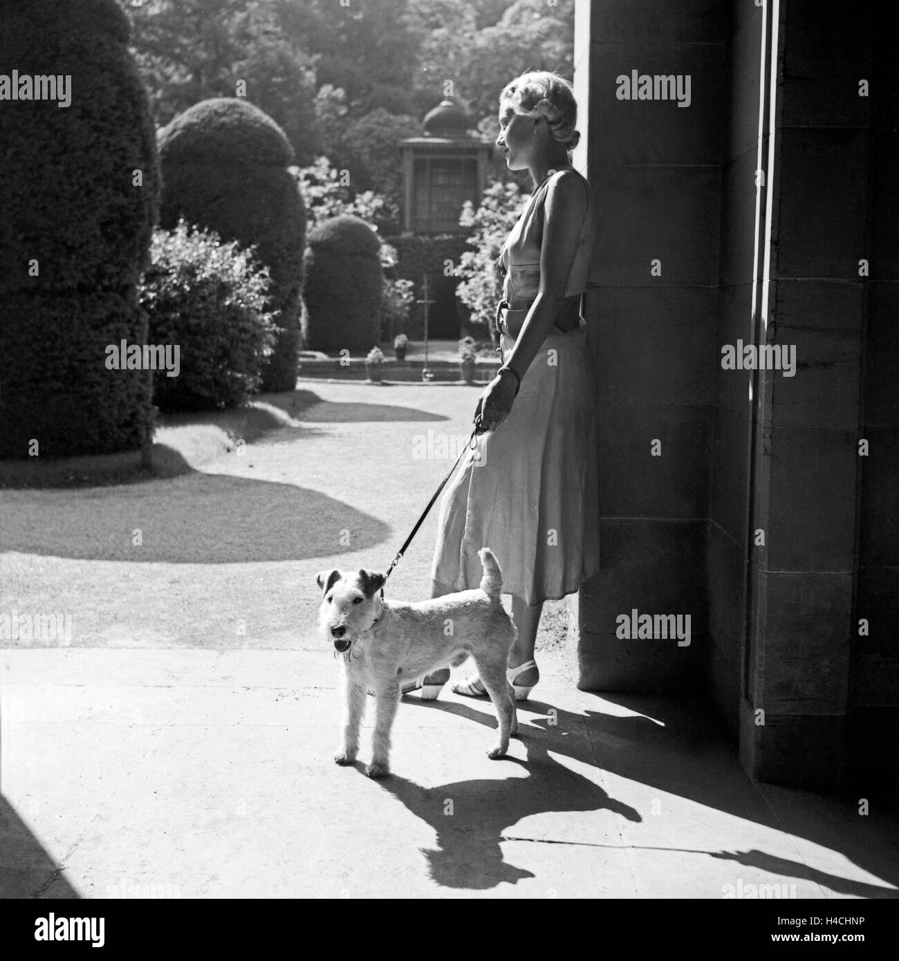 Eine Frau mit einem lehnt Foxterrier dans der Sonne à Stuttgart, Deutschland 1930er Jahre. Une femme avec son fox-terrier dans le soleil à Stuttgart, Allemagne 1930. Banque D'Images