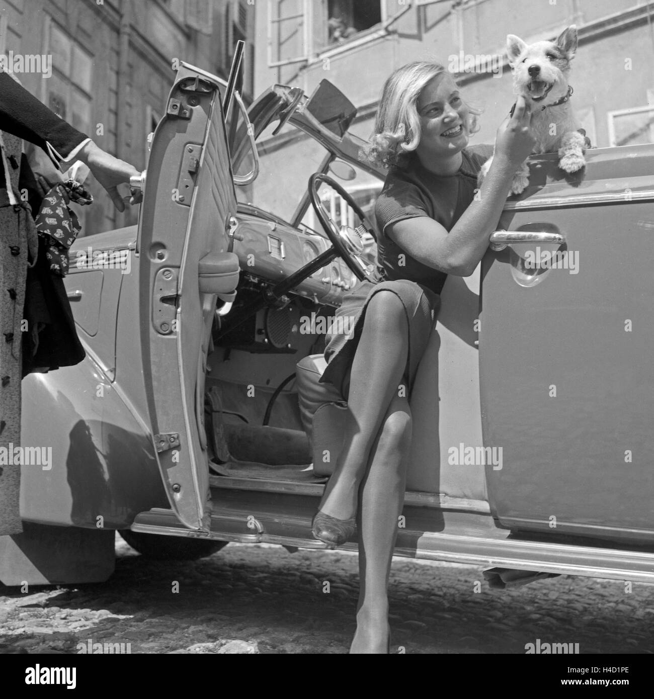 Eine junge Frau und ein kleiner Foxterrier la steigen aus einem 733aus Österreich, 1930er Jahre. Une jeune femme et d'un fox-terrier abandonné un cabriolet, Autriche 1930. Banque D'Images