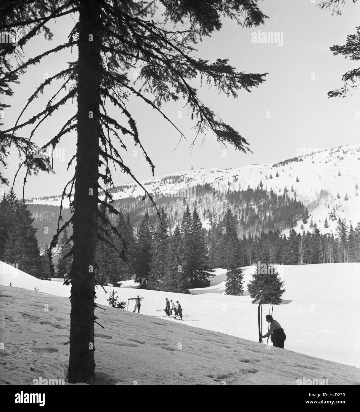 Skigebiet am Feldberg im Schwarzwald, Deutsches Reich 1930er Jahre. Région de ski au Mont Feldberg en Forêt-Noire, Allemagne 1930. Banque D'Images