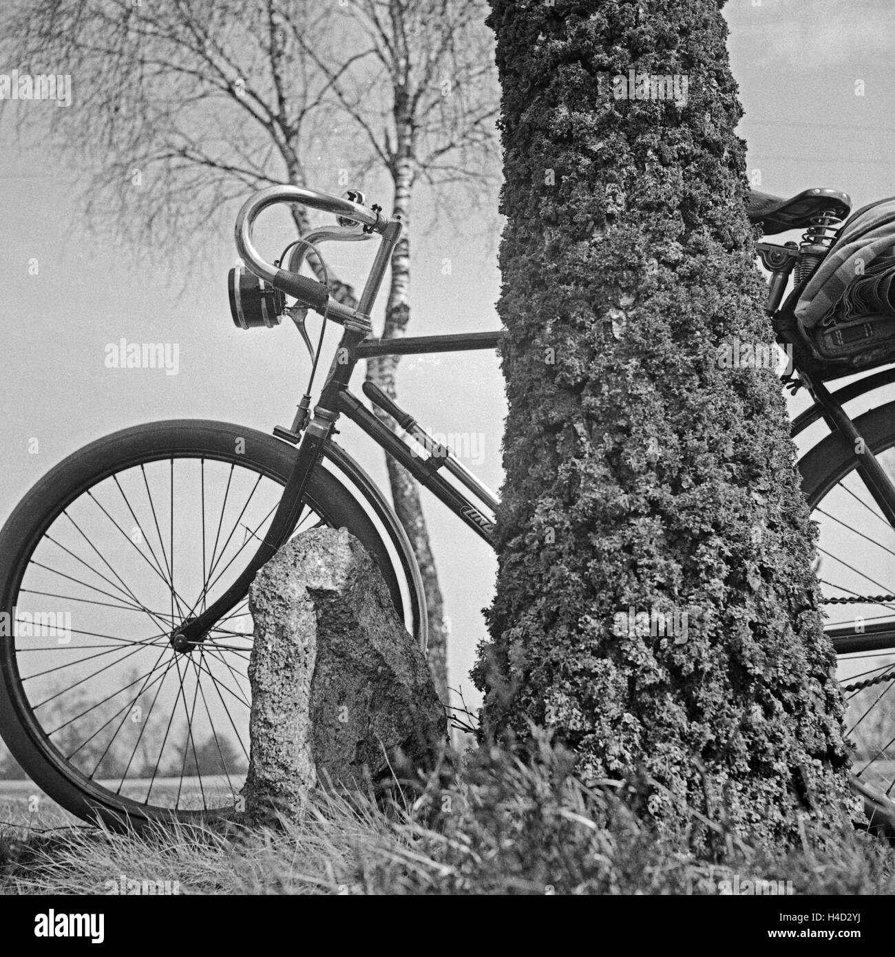 Ein Fahrrad lehnt une moosbewachsenen einem Baum dans der Lüneburger Heide, Deutschland 1930 er Jahre. Une location s'appuyant sur un arbre à Lunebourg Heath, Allemagne 1930. Banque D'Images