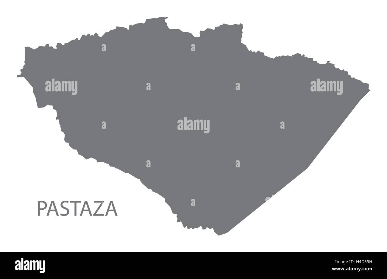 Pastaza Equateur Site gray Illustration de Vecteur