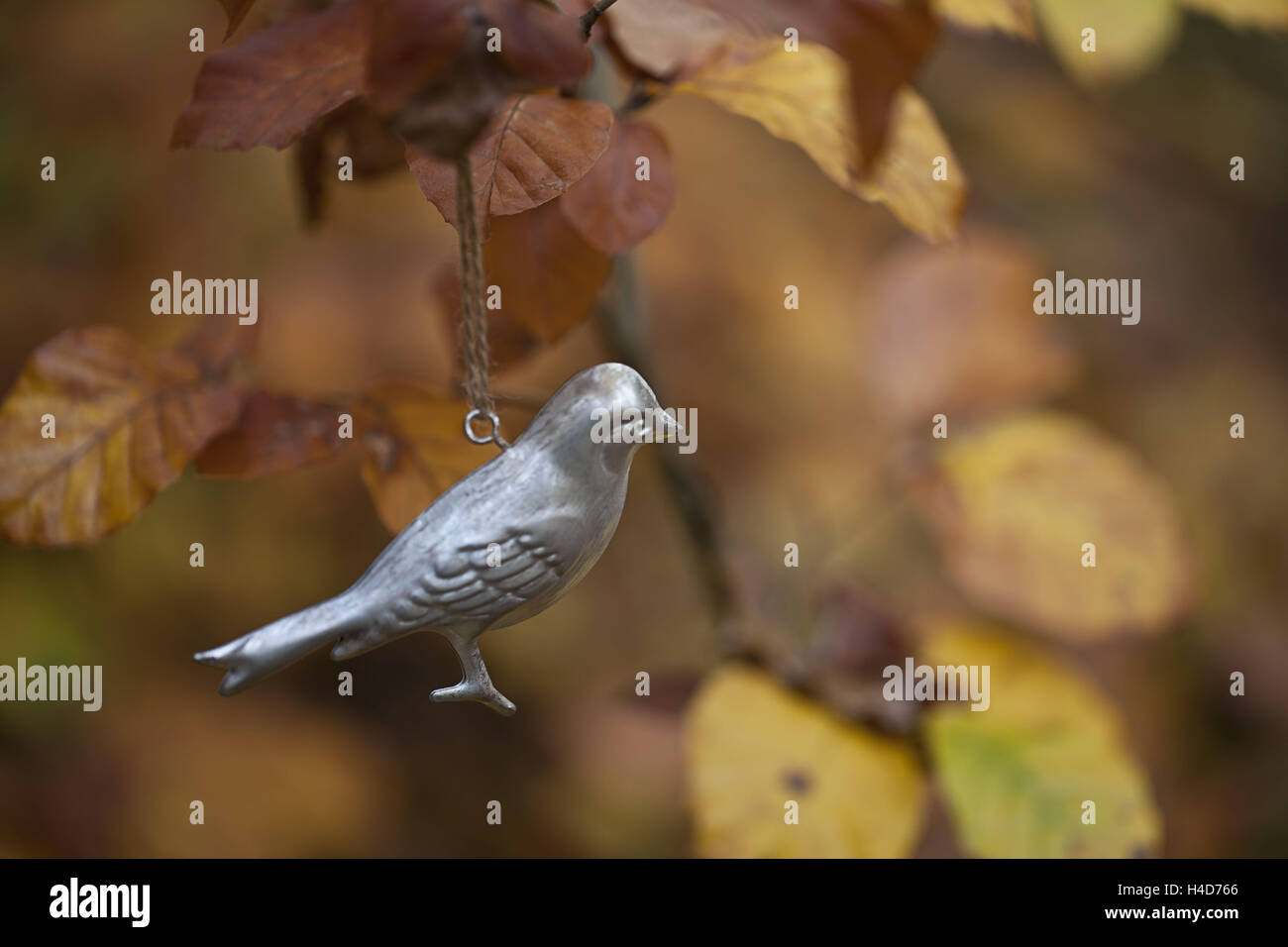 Mettalic oiseau dans le bois de l'automne Banque D'Images