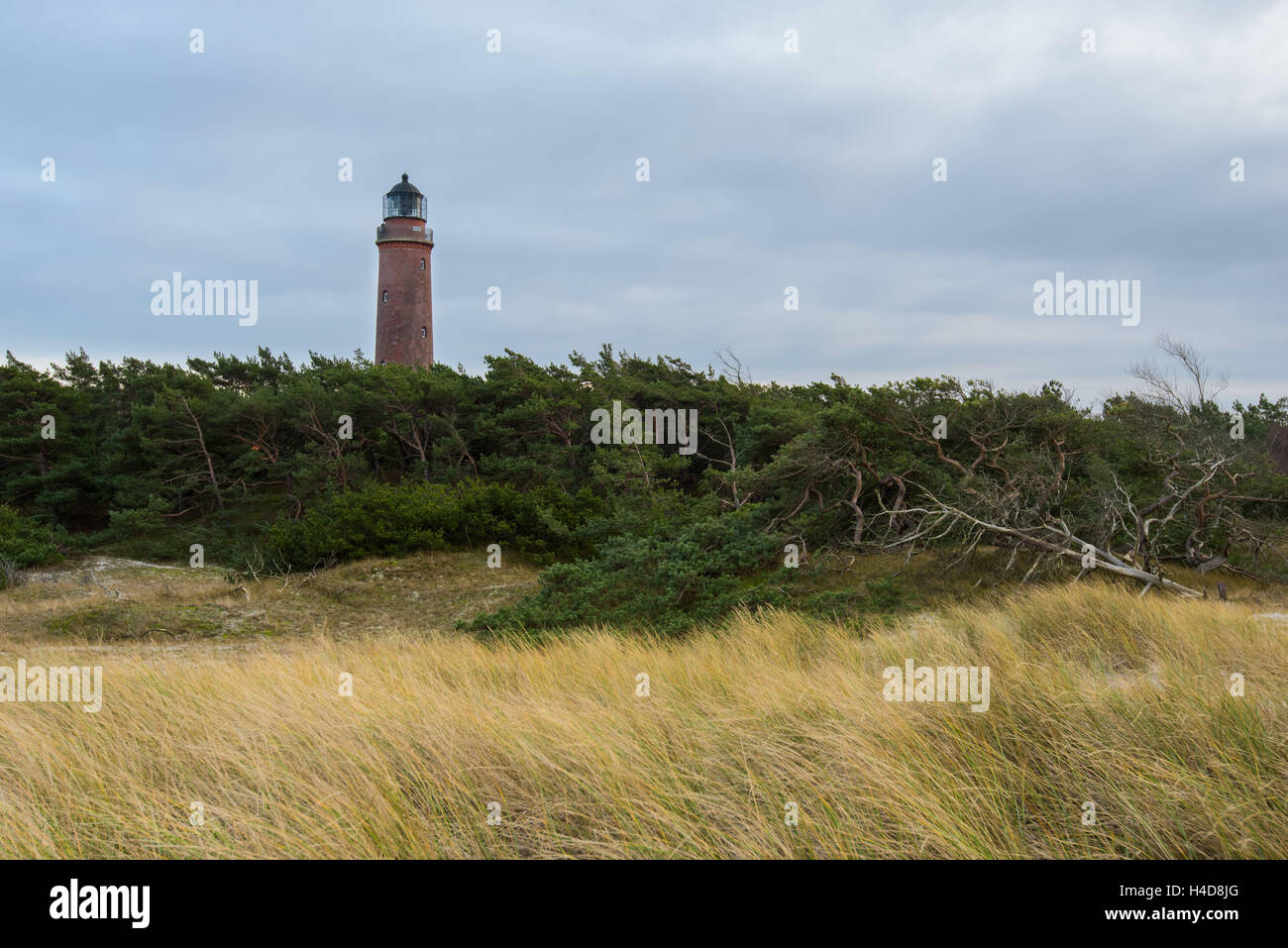Leuchttum, côte, la mer Baltique, à l'ouest, 1, l'Allemagne, de l'Europe Banque D'Images