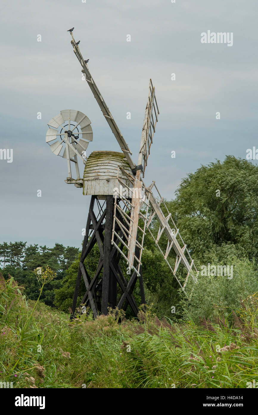 Le moulin de Boardman, comment Hill, Norfolk, Angleterre Banque D'Images