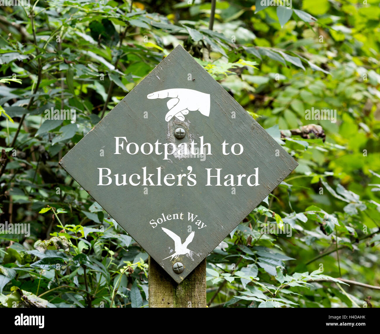 Conseil de direction sur le sentier public entre Beaulieu et Milford on Sea, New Forest, Hampshire, England, UK Banque D'Images