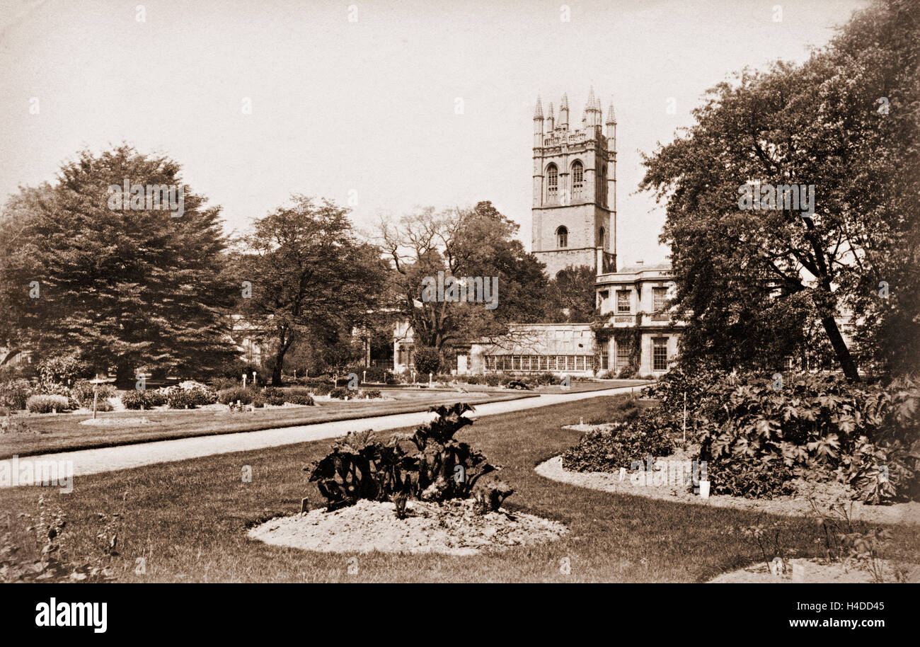 Jardins botaniques et la Tour-de-la-Madeleine, Oxford, Angleterre, Royaume-Uni en 1880 environ Banque D'Images