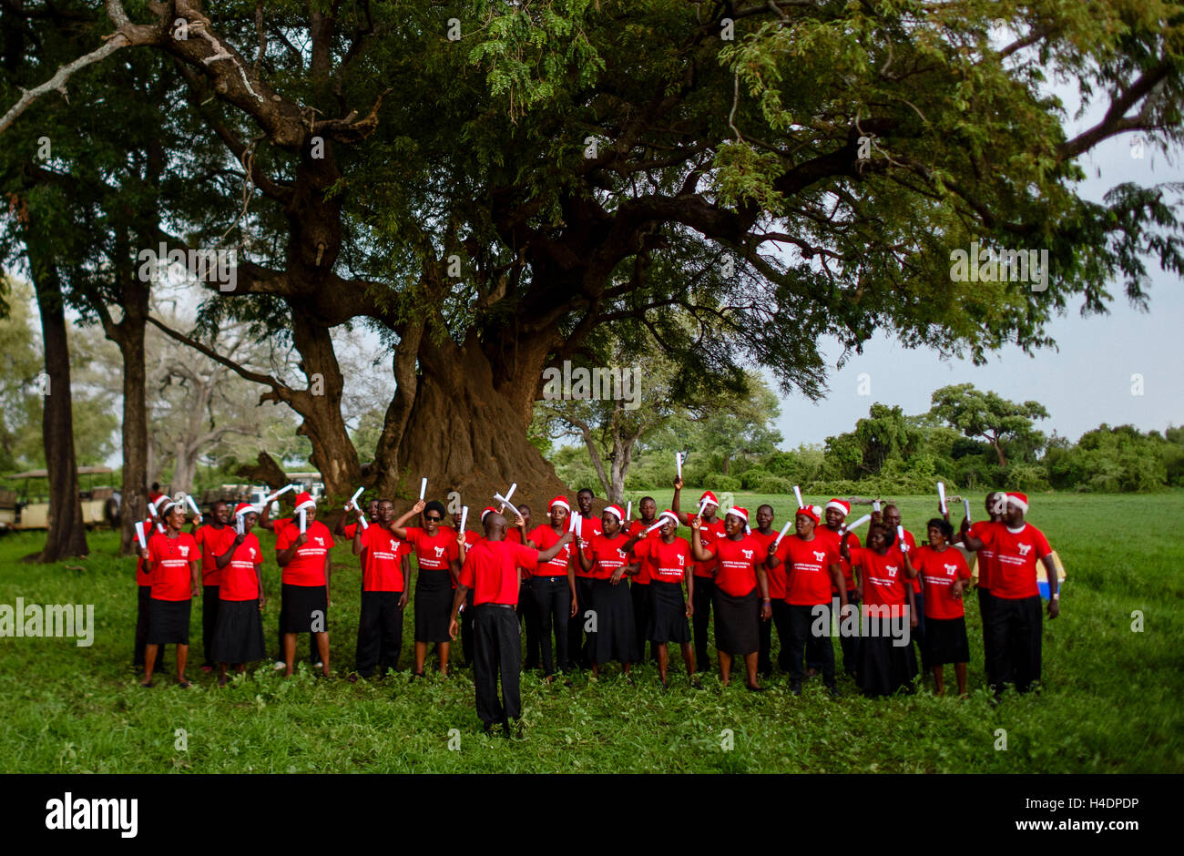 Chorale de Noël dans le parc national de South Luangwa en Zambie Banque D'Images