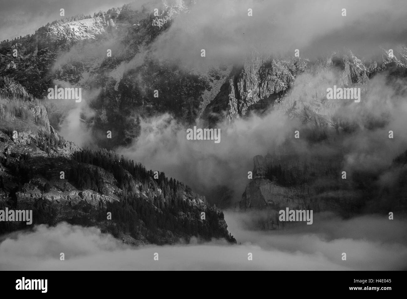 Paysages des Rocheuses, le Parc National de Yellowstone, Grand Tetons en noir et blanc Banque D'Images