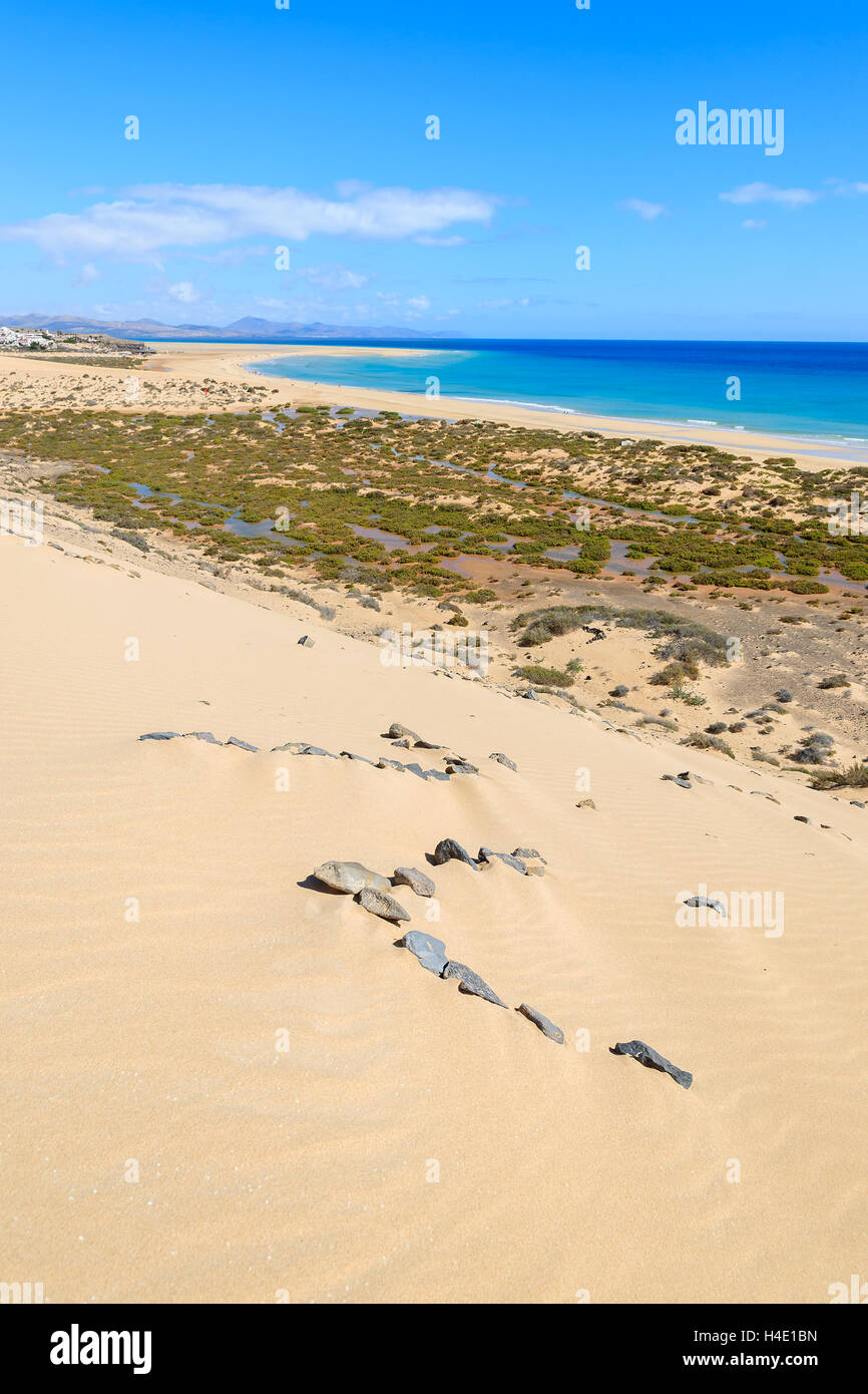 Dune de sable sur la plage de Sotavento de Jandia peninsula, Fuerteventura, Îles Canaries, Espagne Banque D'Images