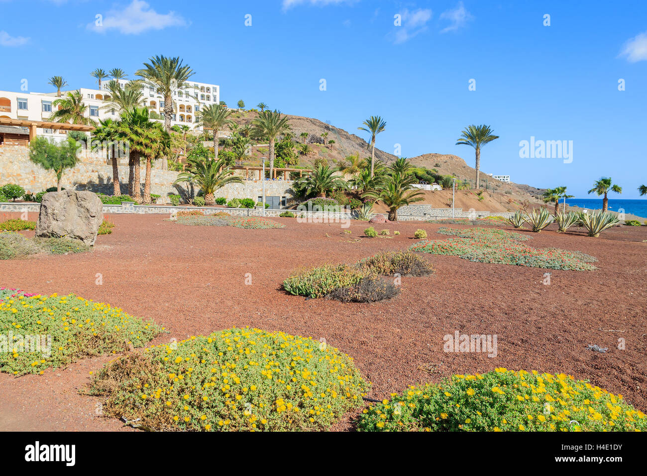 Promenade côtière zone verte dans Las Playitas Village et plage publique, Fuerteventura, Îles Canaries, Espagne Banque D'Images