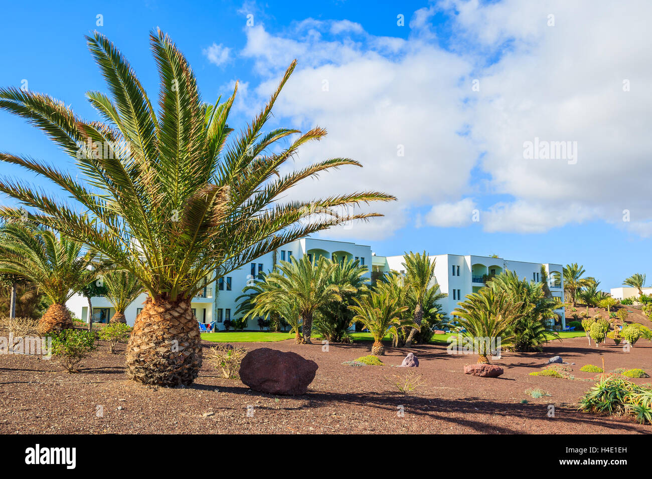 LAS PLAYITAS, à Fuerteventura - FEB 4 : jardin tropical en hôtel de luxe à Las Playitas village sur 4 févr. 2014, Îles Canaries, Espagne. Canaries sont populaires pour les vacances d'hiver en raison de son climat. Banque D'Images