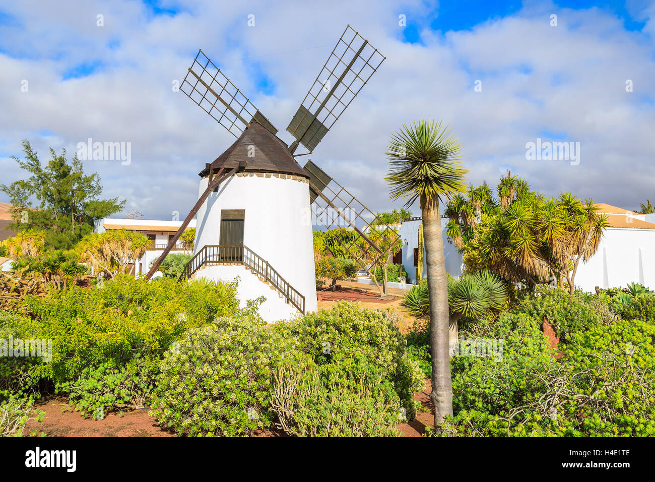 Ancien moulin à vent dans des jardins tropicaux d'Antigua village, Fuerteventura, Îles Canaries, Espagne Banque D'Images