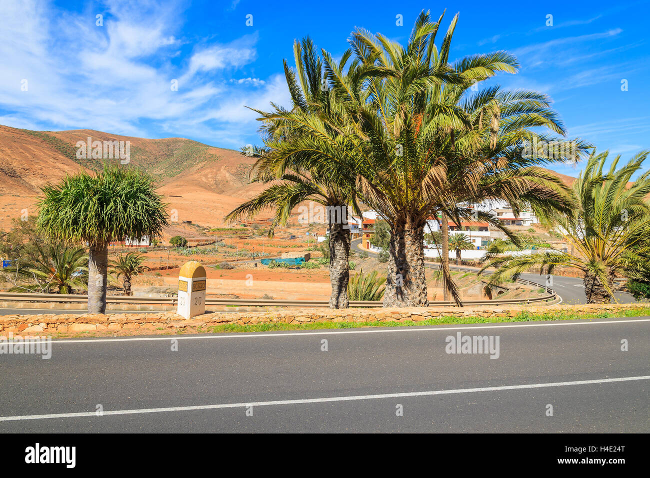 Palmiers le long d'une route et vue sur les montagnes volcaniques près de Pajara village, Fuerteventura, Îles Canaries, Espagne Banque D'Images