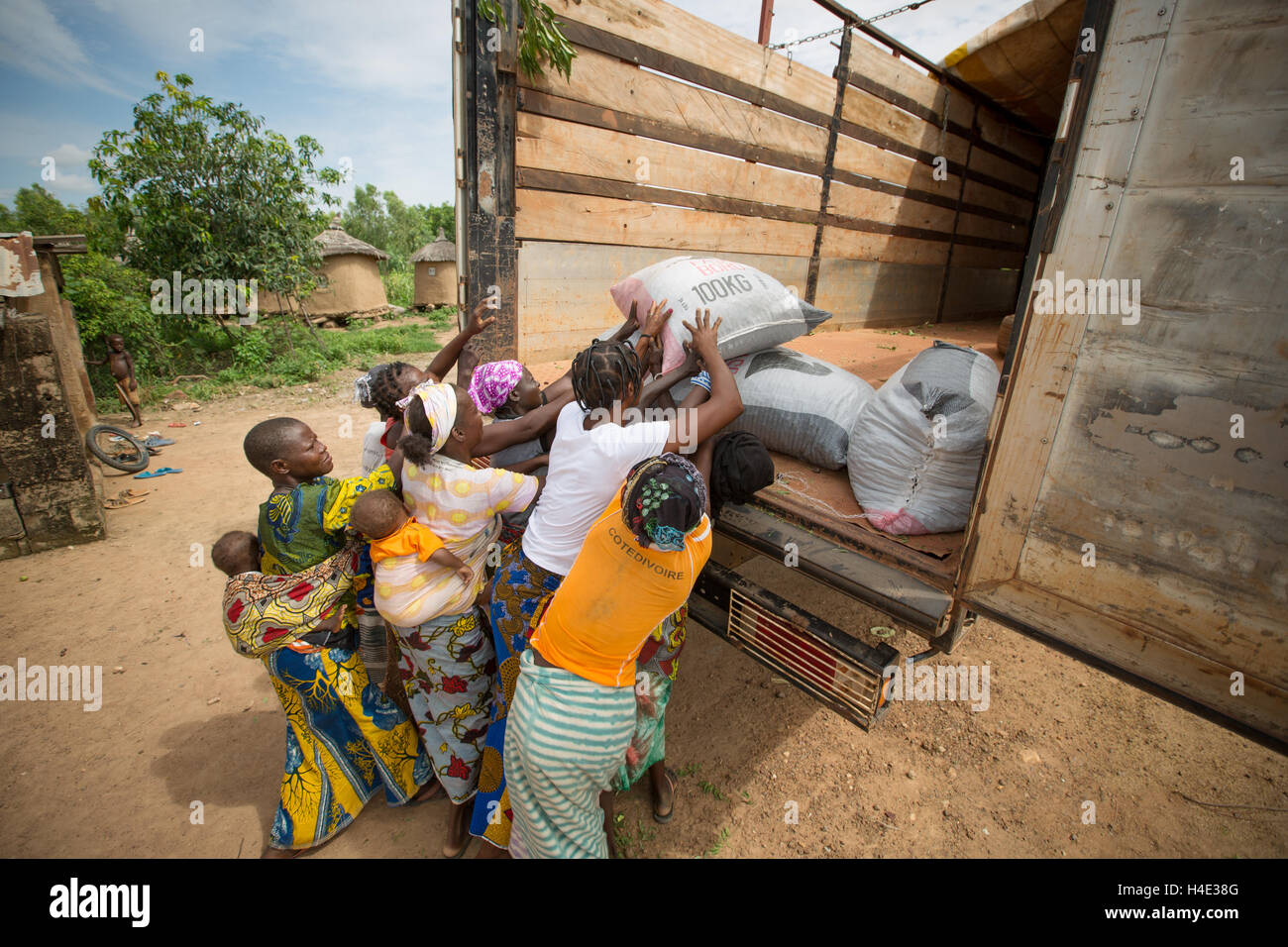 Sacs de karité sont chargés sur un camion passe à un beurre de karité commerce équitable centre de production au Burkina Faso, Afrique de l'Ouest. Banque D'Images