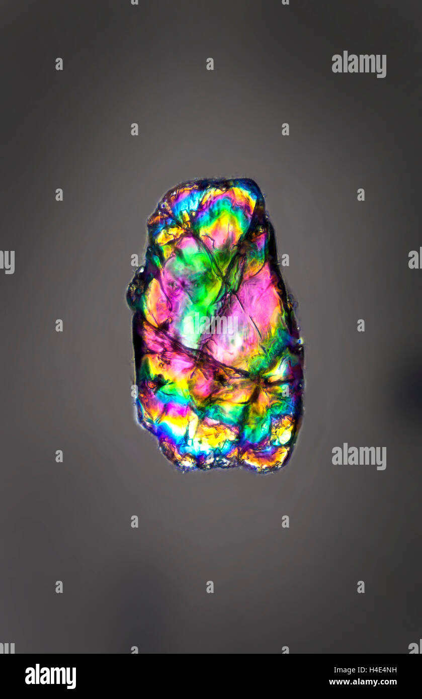 Photomicrographie polarisée grains de sable recueillis près des pyramides, Gizeh, Egypte. Banque D'Images