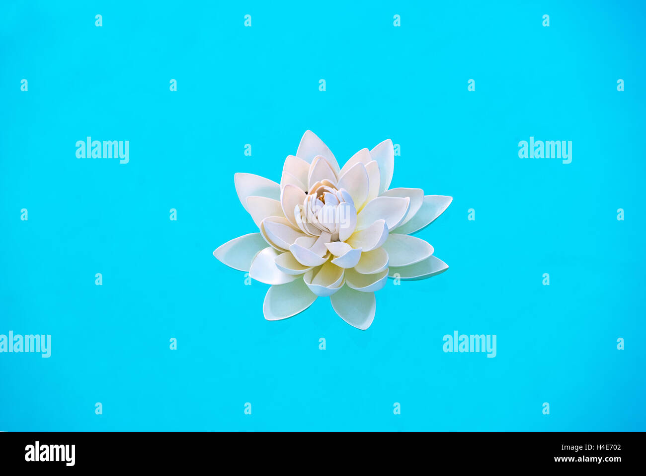 Single white water lily flower, Nymphaea, flottant sur l'eau bleu clair dans un concept de bien-être ou d'un spa Banque D'Images