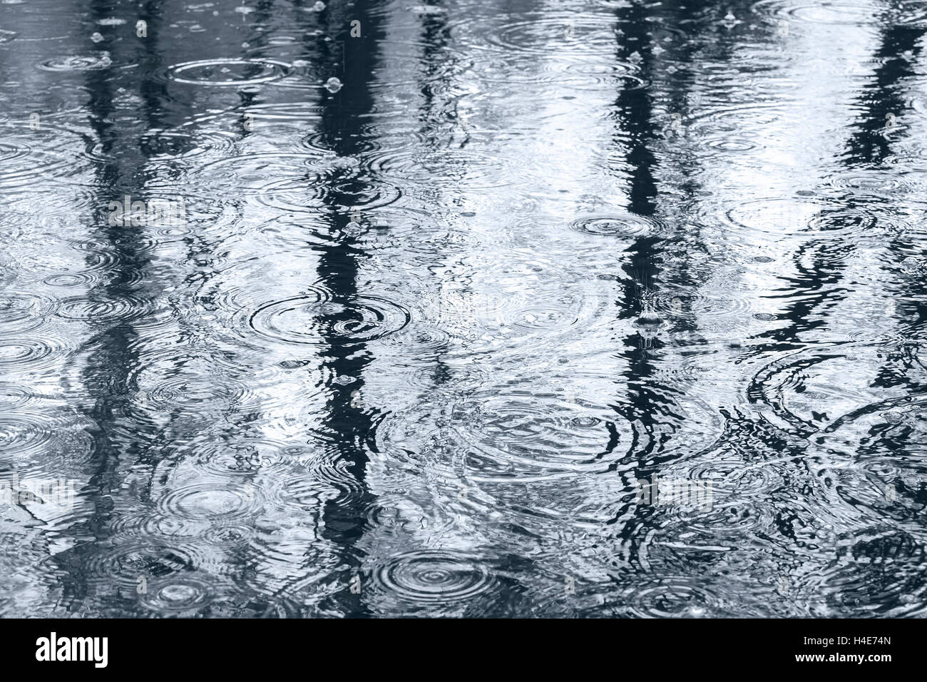 Les gouttes de pluie et la réflexion des arbres dans l'eau flaque on sidewalk Banque D'Images