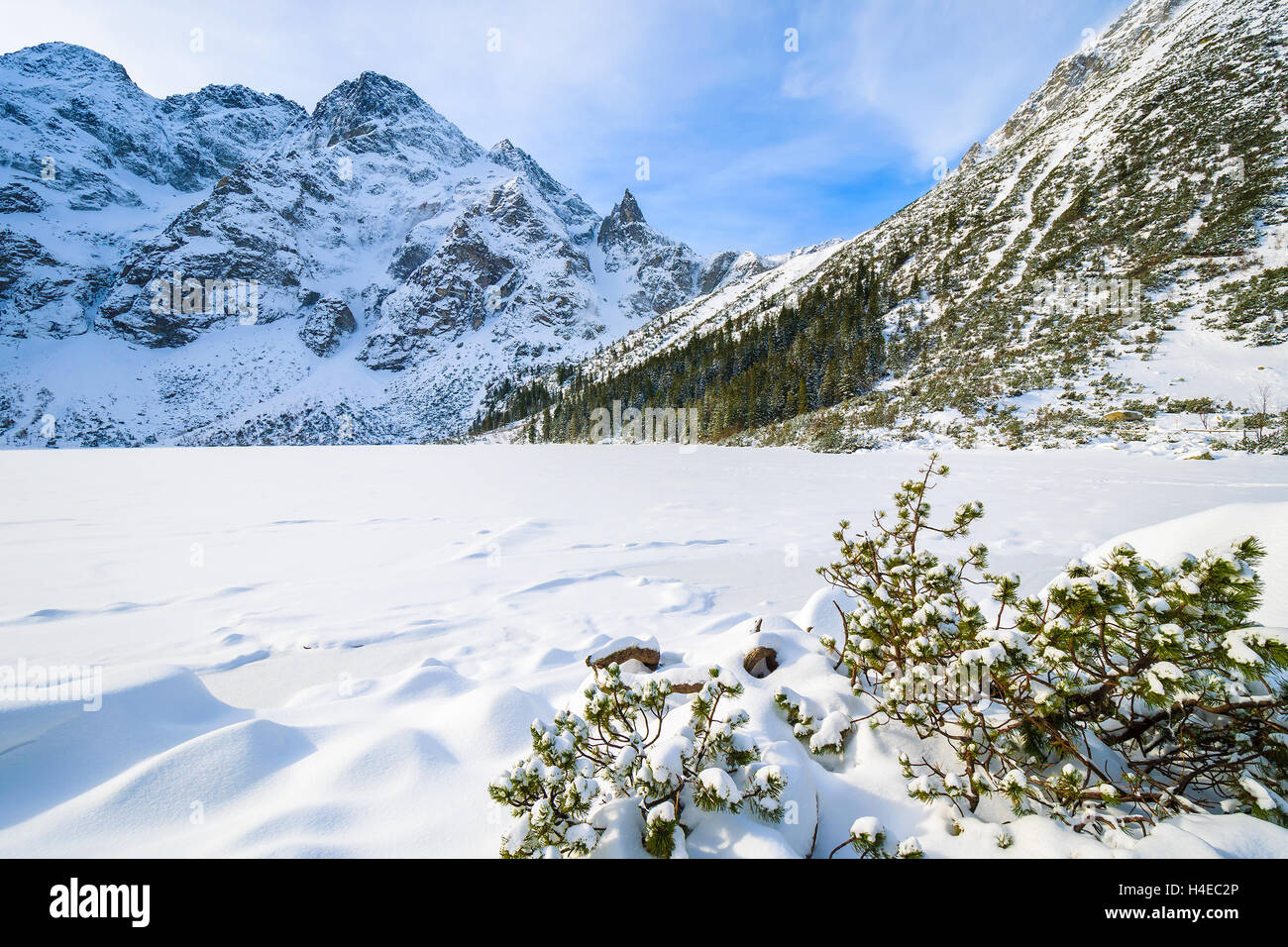 Neige fraîche sur le lac Morskie Oko gelé en hiver, les montagnes Tatras, Pologne Banque D'Images