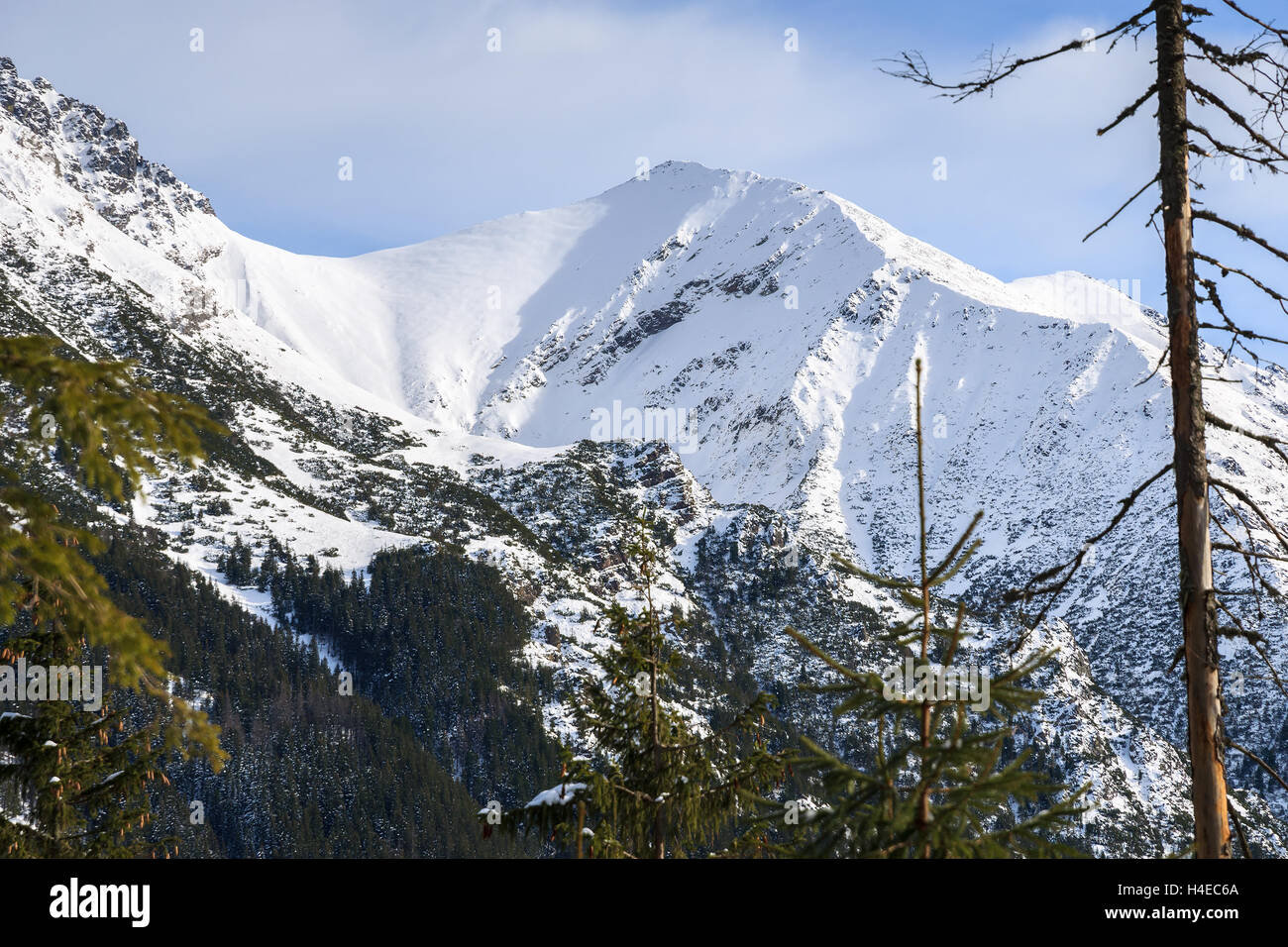Couverte de neige montagne près de route de beau lac Morskie Oko en hiver, Hautes Tatras, Pologne Banque D'Images