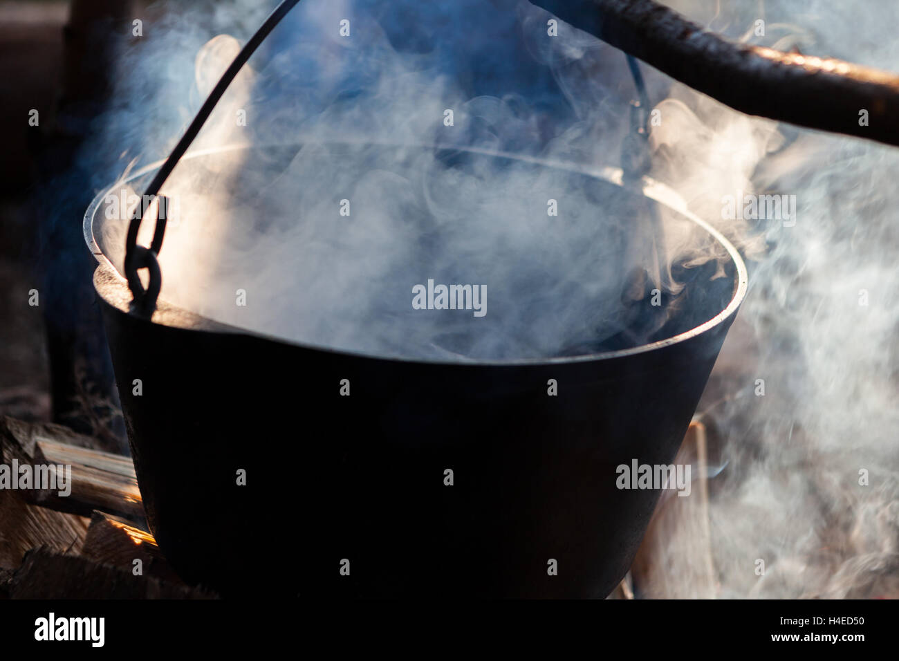 Pot sur le feu avec des champignons dans la forêt sur les rives de la rivière dans la nature Banque D'Images