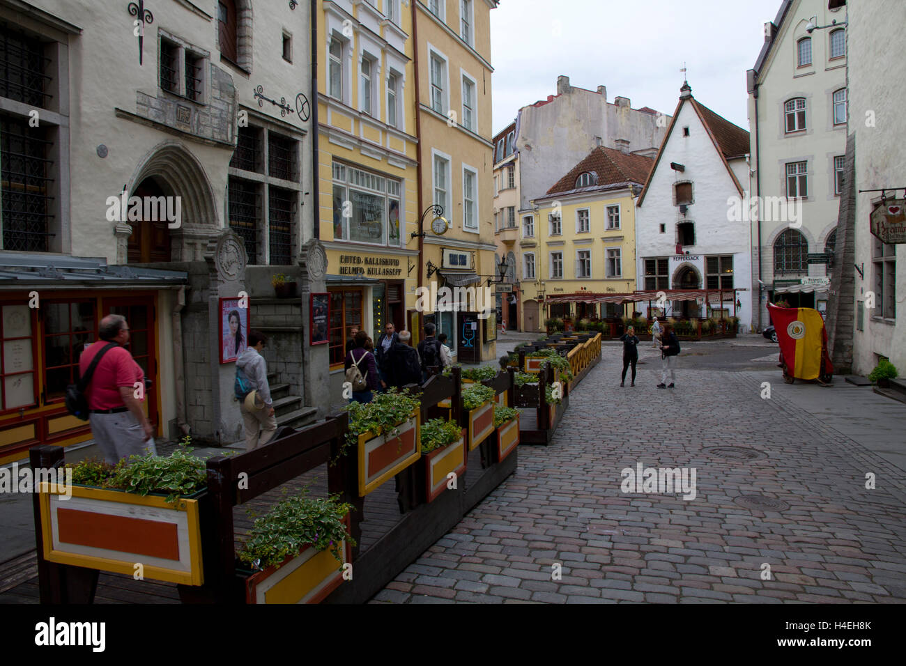 Produire un vendeur dans le vieille ville, Tallinn, Estonie. Banque D'Images