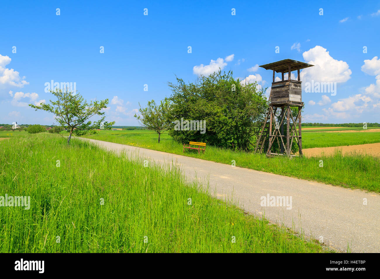 Watchtower le long d'un chemin rural dans des champs verts, Burgenland, Autriche du sud Banque D'Images