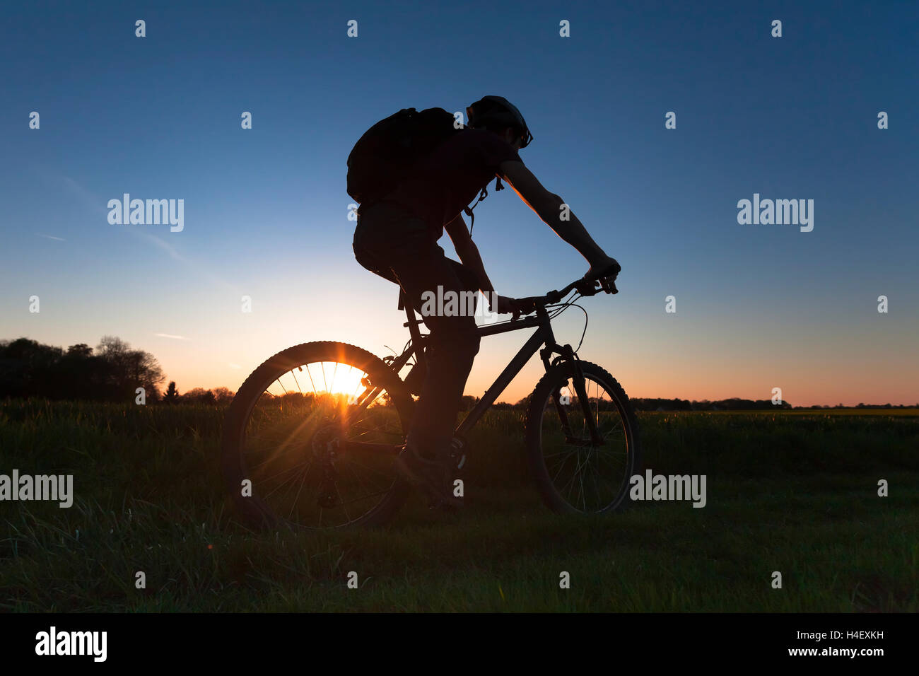Jeunes adultes en équitation de vélo cross-country au coucher du soleil Banque D'Images