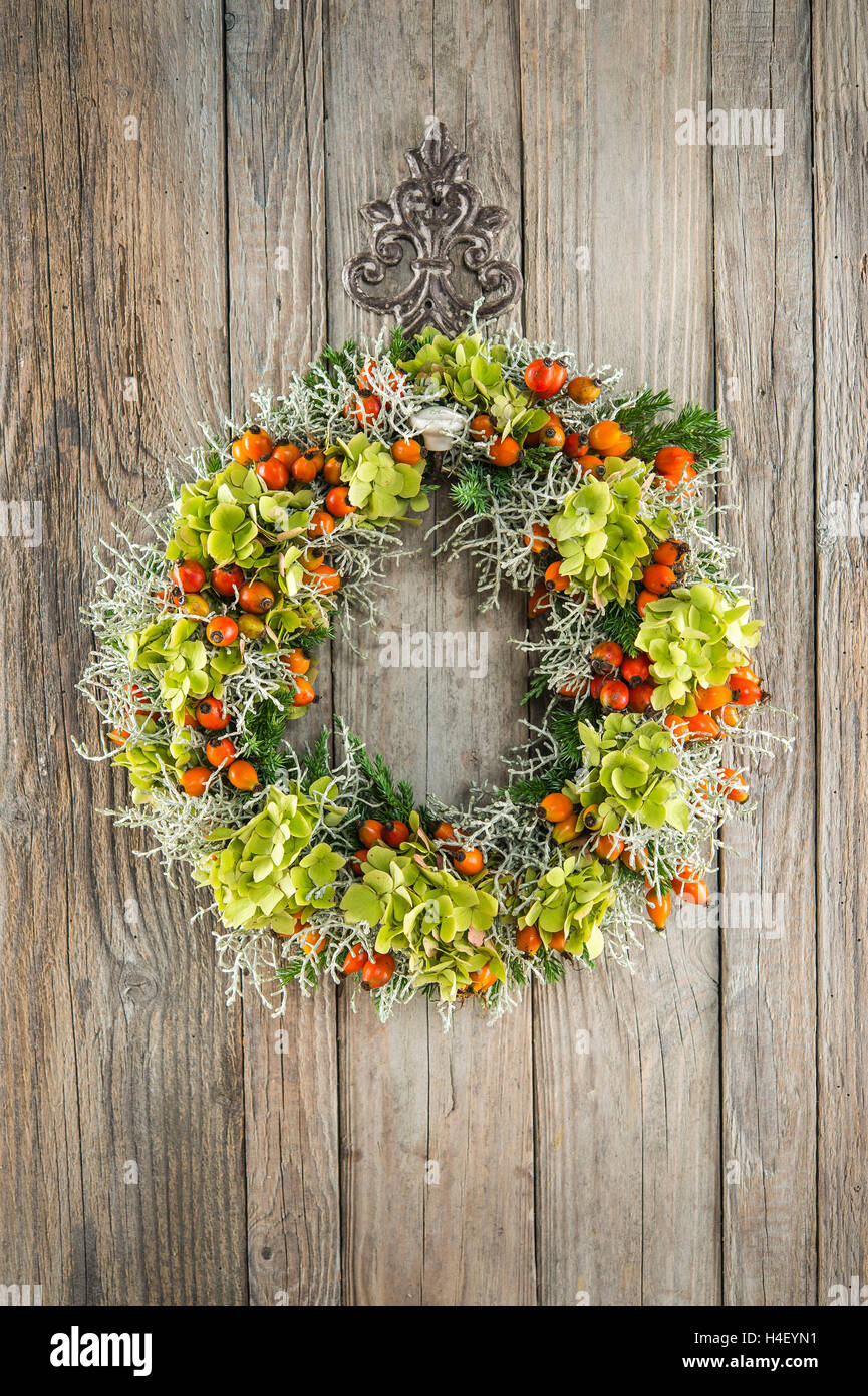 Couronne d'automne sur le mur en bois, à égalité avec l'églantier (rosa canina), la bruyère (Calluna vulgaris), hortensia (Hydrangea macrophylla), Banque D'Images