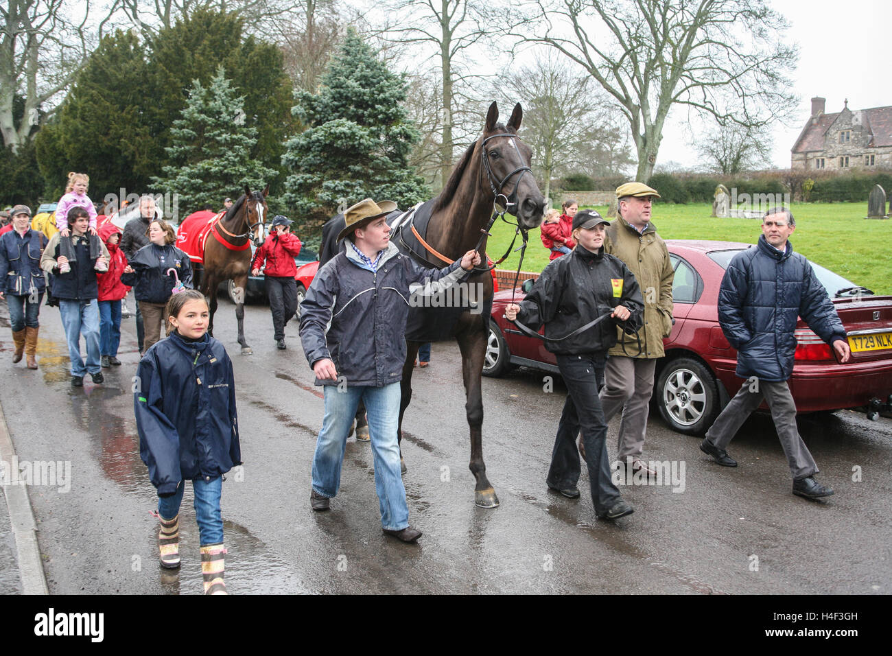 Denman,Gold Cup winner,chevaux gagnants de Cheltenham Festival de Paul Nicholls horse racing stable parade dans Ditcheat,village Somerset.Angleterre Banque D'Images