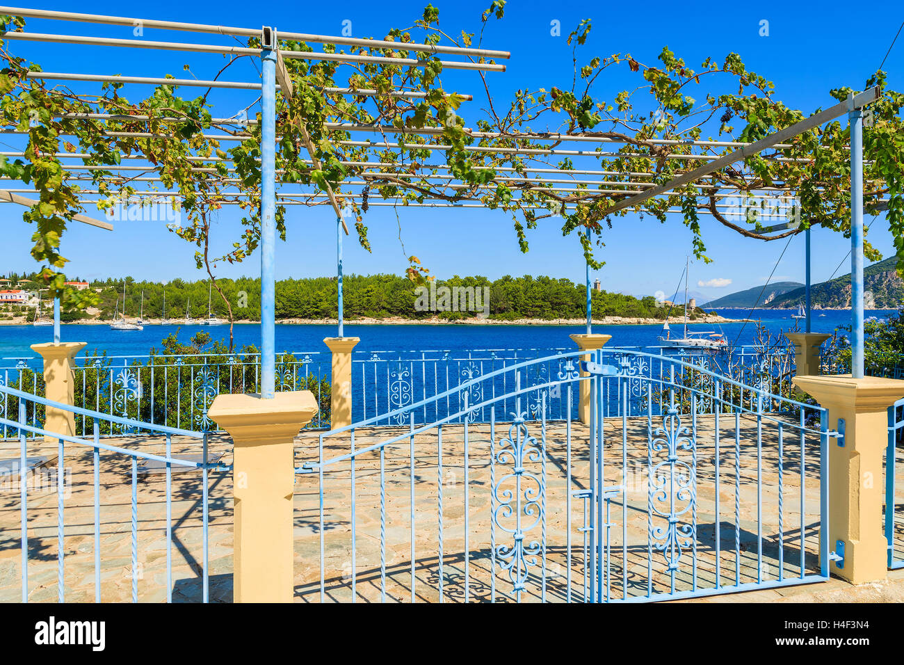 La porte et la clôture de la maison traditionnelle grecque avec la viticulture sur terrasse à Fiskardo village, l'île de Céphalonie, Grèce Banque D'Images