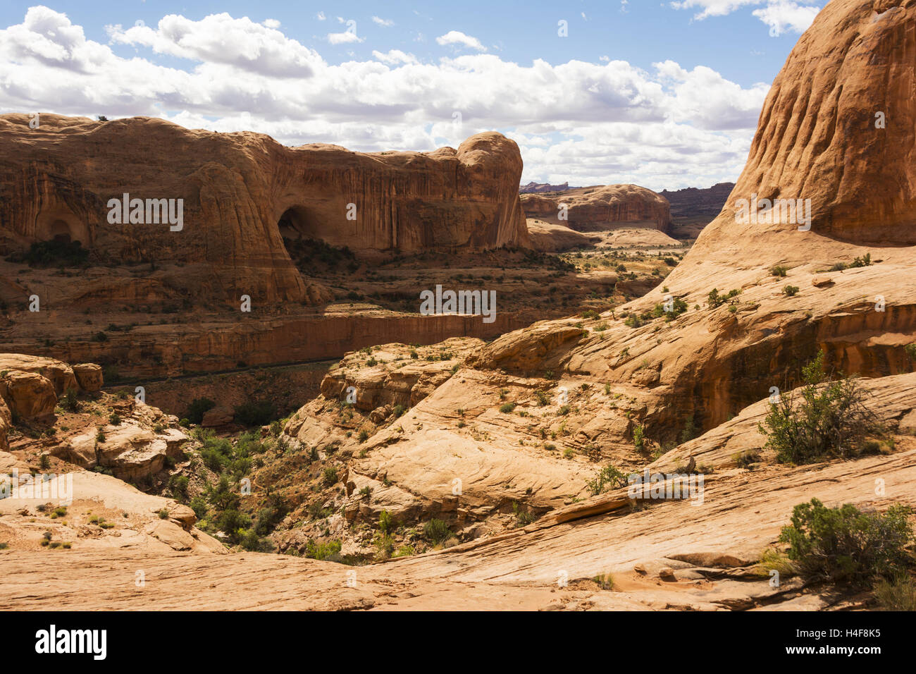 L'Utah, Potash-Lower Colorado River Scenic Byway, paysage Banque D'Images