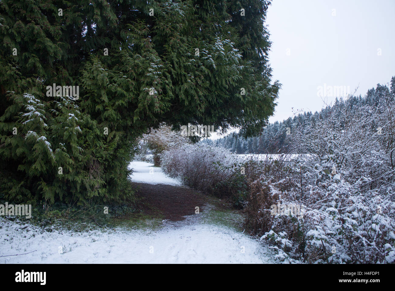 Winter Wonderland, aller pour une promenade sur un sentier dans l'hiver Banque D'Images