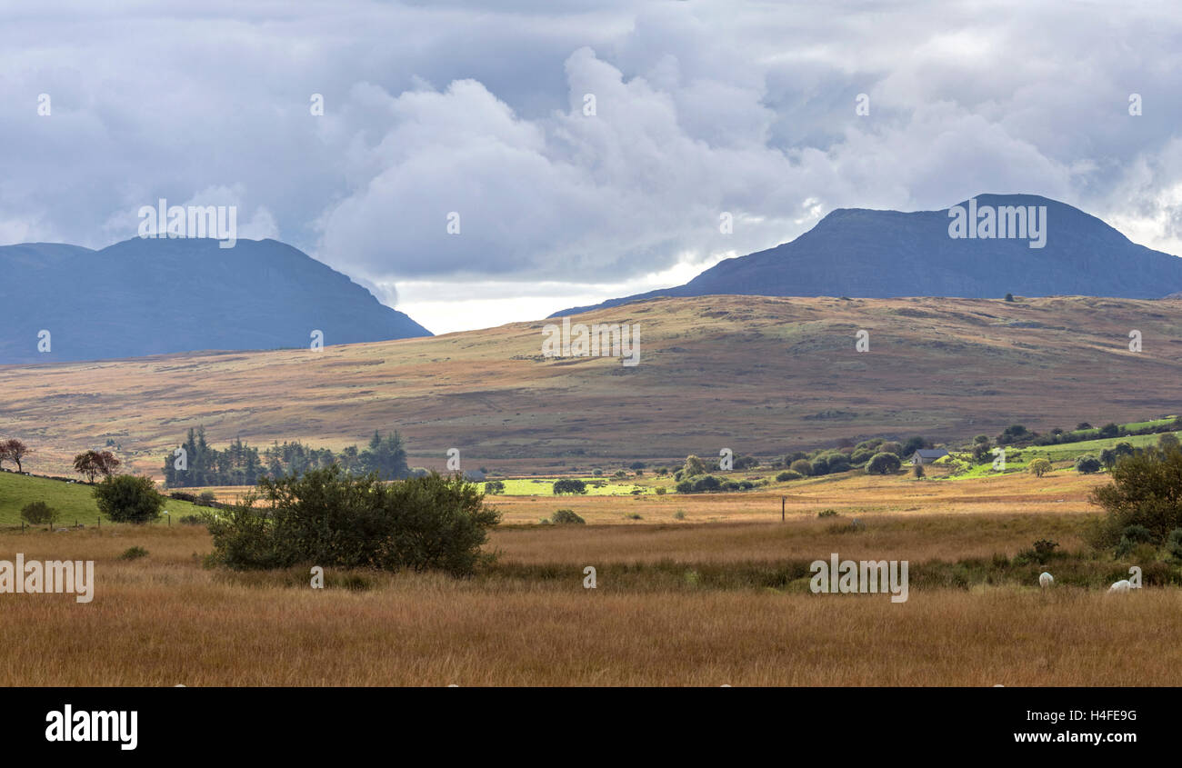 Rhinogydd chaîne de montagnes, le parc national de Snowdonia, le Nord du Pays de Galles, Royaume-Uni Banque D'Images