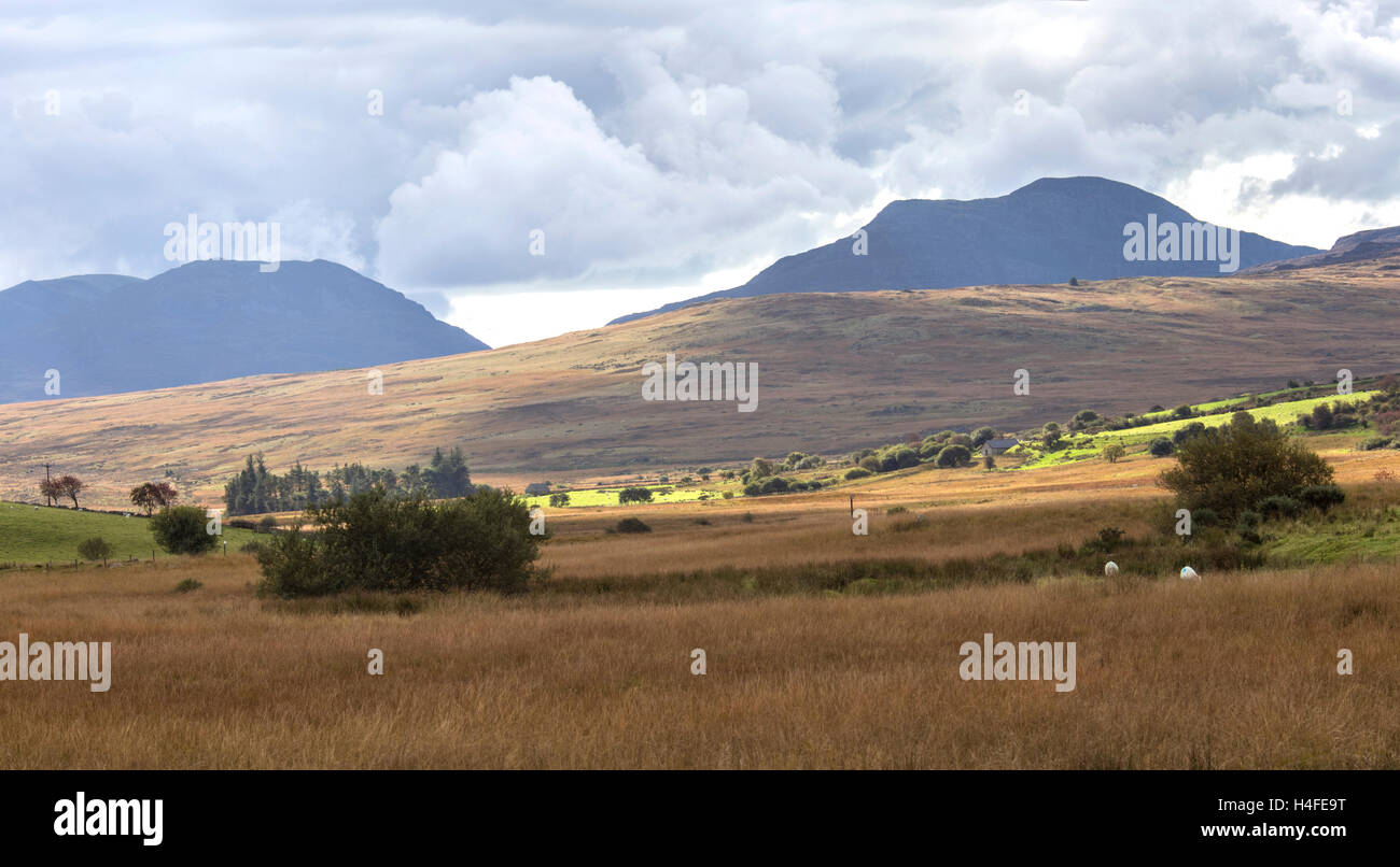 Rhinogydd chaîne de montagnes, le parc national de Snowdonia, le Nord du Pays de Galles, Royaume-Uni Banque D'Images