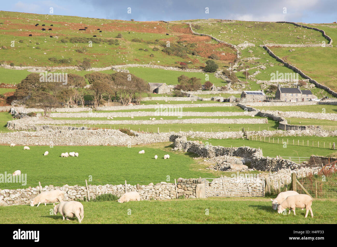 Mur de pierres sèches domaine pattens, Parc National de Snowdonia, le nord du Pays de Galles, Royaume-Uni Banque D'Images