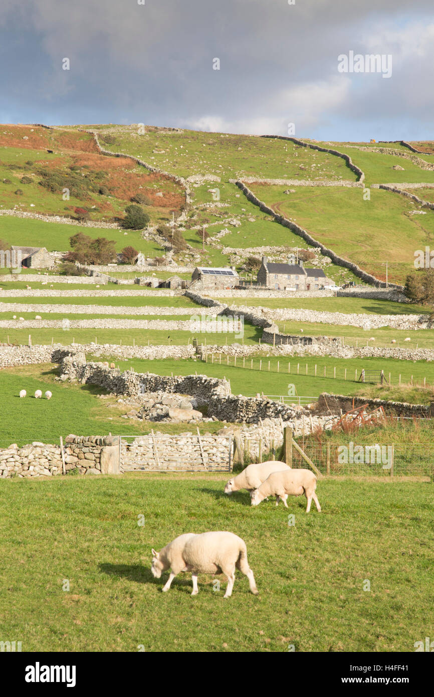 Mur de pierres sèches domaine pattens, Parc National de Snowdonia, le nord du Pays de Galles, Royaume-Uni Banque D'Images