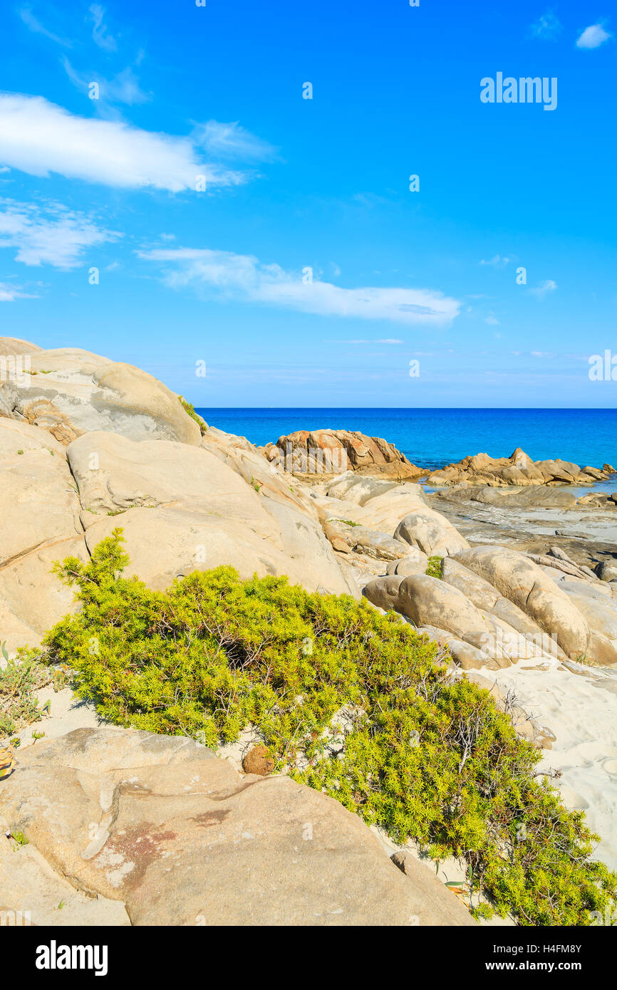 Les roches des dunes de sable de Porto Giunco, plage de l'île de la Sardaigne, Italie Banque D'Images
