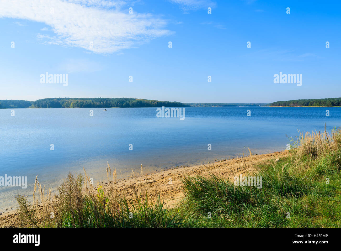 L'herbe verte sur les rives du lac Chancza, Pologne Banque D'Images
